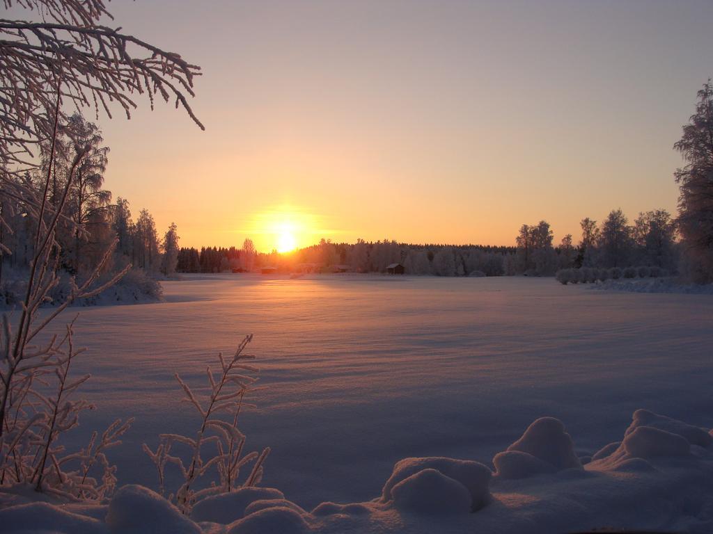 Villa Tiirinkallio Nilsiä Camera foto