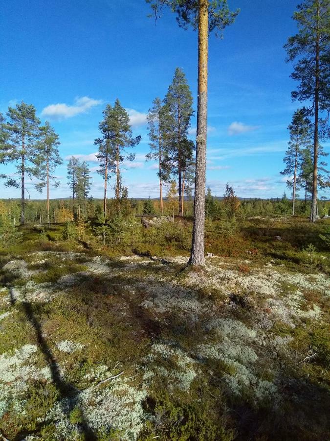 Villa Tiirinkallio Nilsiä Esterno foto