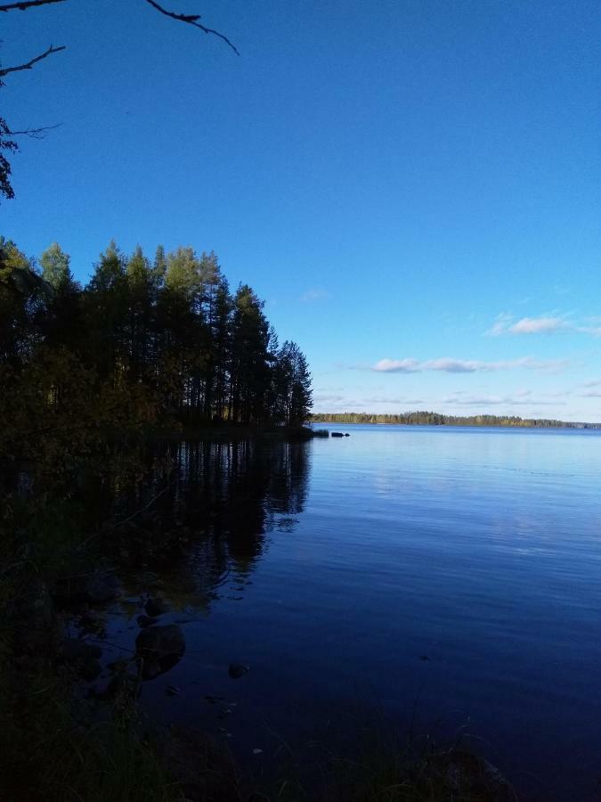 Villa Tiirinkallio Nilsiä Esterno foto