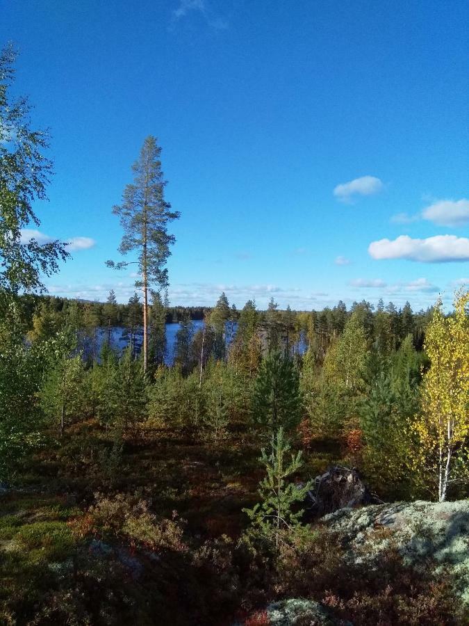 Villa Tiirinkallio Nilsiä Esterno foto