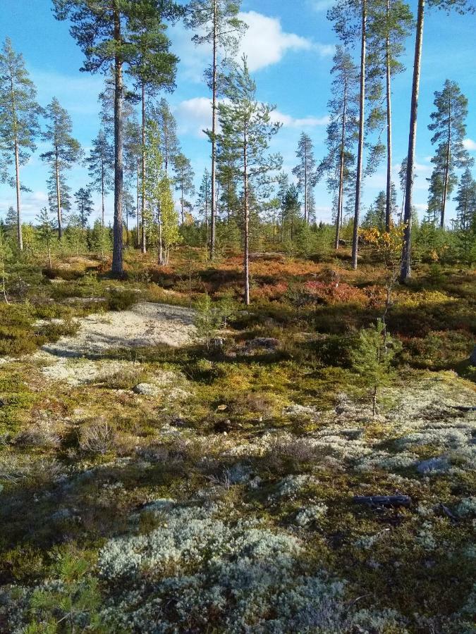 Villa Tiirinkallio Nilsiä Esterno foto